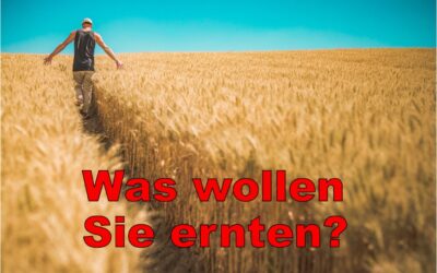 Was wollen Sie ernten?